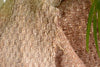 Silk Boucle Tweed Fabric by the Yard. Designer Collection - Chenile - Beige - 54'' / 137cm W