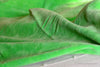 Organic Cotton Velvet Fabric - DOLCE VITA ( Parrot Green )