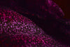Hand Painted Silk Organza Fabric - ENCHANTED GROTTO ( Violeta )