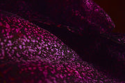 Hand Painted Silk Organza Fabric - ENCHANTED GROTTO ( Violeta )